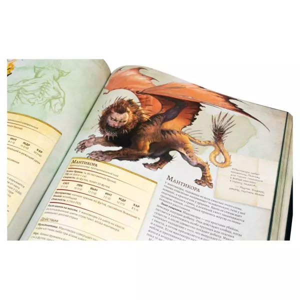 Dungeons & Dragons. Энциклопедия чудовищ