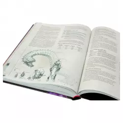 Фото №4 к Dungeons & Dragons. Руководство мастера подземелий
